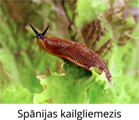 YCUZD_260928_8592_1.png