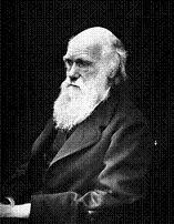 charles_darwin_011.jpg