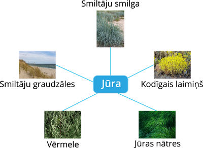 YCUZD_260824_8486_jūra.png