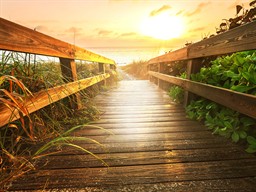 shutterstock_137572400_boardwalk on beach_taka uz pludmali.jpg