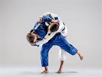 shutterstock_521102077_judo_džudo.jpg