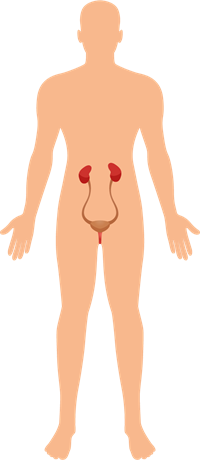 YCUZD_260520_8229_cilvēks_9.png