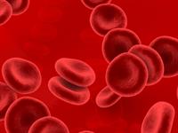 Shutterstock_1566990256_blood cells_asins šūnas.jpg