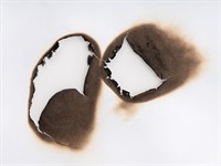 shutterstock_2657872463_Burnt hole on white paper_izdedzis caurums papīra lapā.jpg