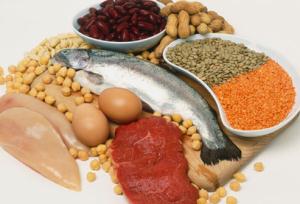 protein-products.jpg