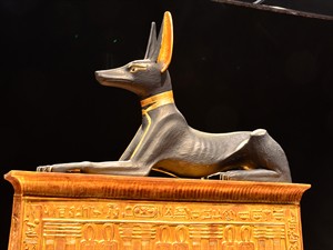 mountainpix Shutterstock_Anubis.jpg