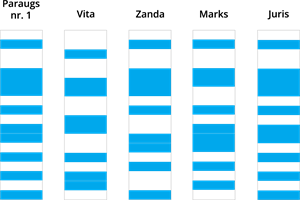 YCUZD_230918_5550_paraugs_9.png