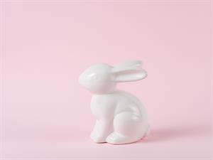 Shutterstock_2276809233_porcelain hare_porcelāna trusis.jpg