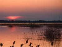 Shutterstock_1416810446_lubanas lake_lubānas ezers.jpg