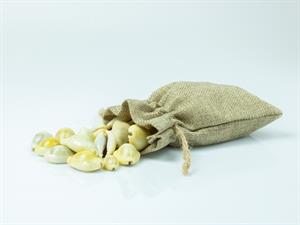 Kauri gliemežvāki.jpg