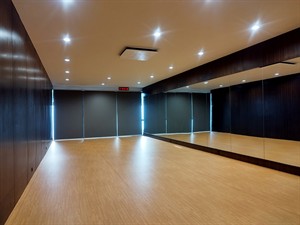 shutterstock_2673926487_Empty modern dance studio_Tukša moderna deju studija.jpg
