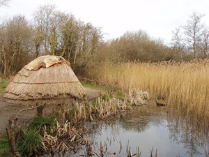 WIKI_20252508_,Hunter_gatherer's_camp_at_Irish_National_Heritage_Park_-_geograph.org.uk_-_1252699.jpg