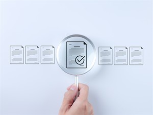 shutterstock_2504481787_document review_dokumentu pārskate.jpg