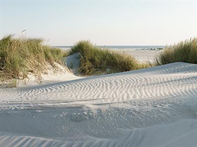 shutterstock_2523287841_dunes_kāpas.jpg