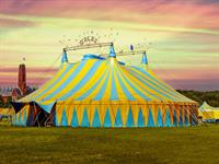 Shutterstock_603243704_circus_cirks.jpg