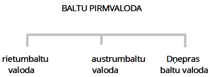 baltu_pirmvaloda_D.png