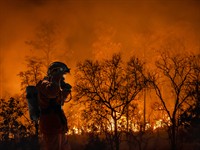 shutterstock_2240006791_firefighters battle a wildfire_ugunsdzēsēji cīnās ar meža ugunsgrēku.jpg