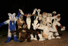 furries.png