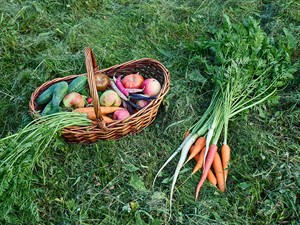 shutterstock_2535381165_autumn vegetables_rudens raža.jpg