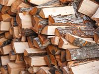 Shutterstock_757784569_firewood_malka.jpg