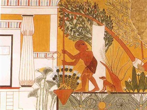 WIKI_20261704_Ipuy_shaduf.jpg