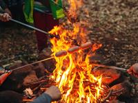 Shutterstock_1946516923_sausages on bonfire_desiņas uz ugunskura.jpg
