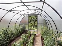 shutterstock_2482600919_greenhouse_siltumnīca.jpg