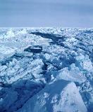 sea_ice04.jpg