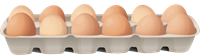 12яйца_olas_eggs.png