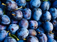 Shutterstock_1684757722_plums_plūmes.jpg
