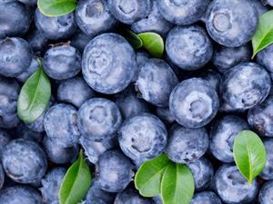 Shutterstock_1107302447_blueberries_mellenes.jpg
