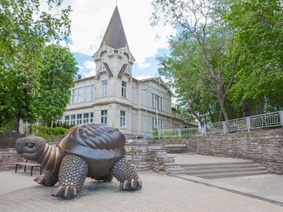 Edijs Volcjoks (1).jpg