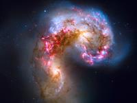 Copy of shutterstock_460180744.jpg