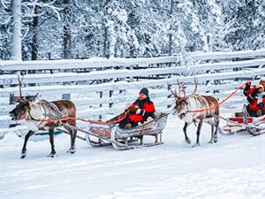 Roman Babakin Shutterstock.jpg