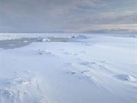 Shutterstock_2455084439_polar zone_polārā josla.jpg