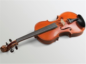 shutterstock_2427225919_Cello_Čells.jpg