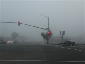 shutterstock_2594895527_foggy road_miglains ceļš.jpg