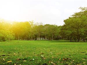 shutterstock_491409886.jpg