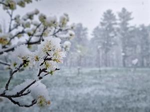 shutterstock_2611580215_winter landscape_ziemas ainava.jpg