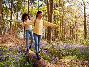 Shutterstock_2179590891_spring 15_pavasaris 15.jpg