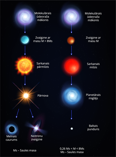 YCUZD_260416_8148_2.png