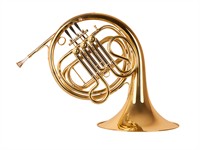 shutterstock_292983083_french horn_mežrags.jpg