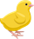 YCAT_230330_chick.png