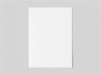 Shutterstock_2442078041_piece of paper_papīra lapa.jpg