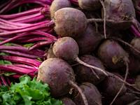 shutterstock_2528099867_beetroots_bietes.jpg