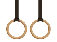 Shutterstock_393845737_gymnastic rings_vingrošanas riņķi.jpg
