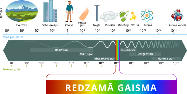 YCUZD_260907_8525_EM skala.png