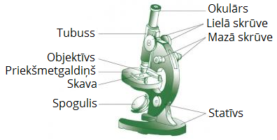 mikroskops.png