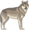 YCUZD_230709_5338_picture_der Wolf.png