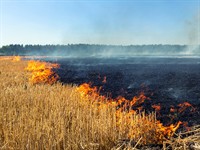 shutterstock_1916978717_Wildfire_Meža ugunsgrēks.jpg